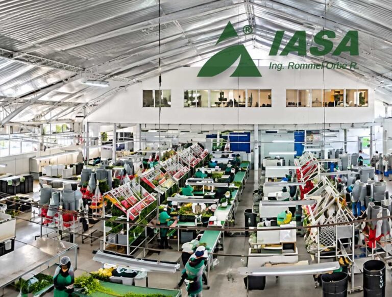 Nave Industrial para poscosecha
