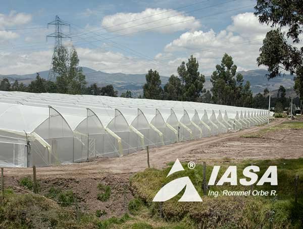 Invernaderos Metálicos para Producción Florícola