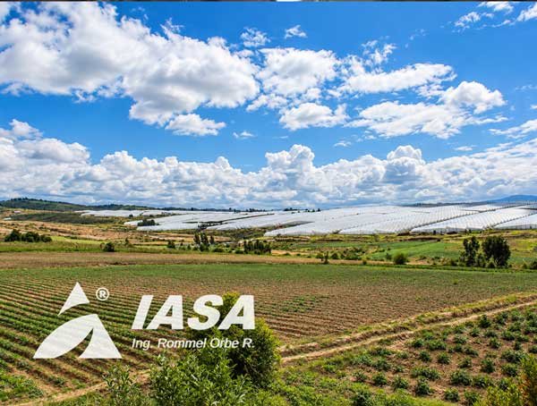 Infraestructura para Producción Florícola a Gran Escala